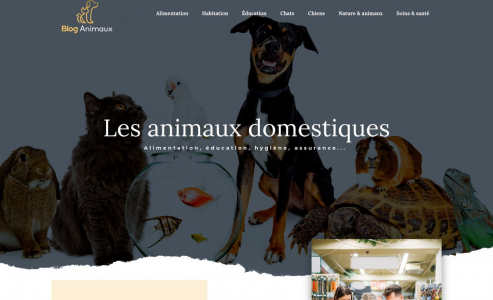 https://www.blog-animaux.fr